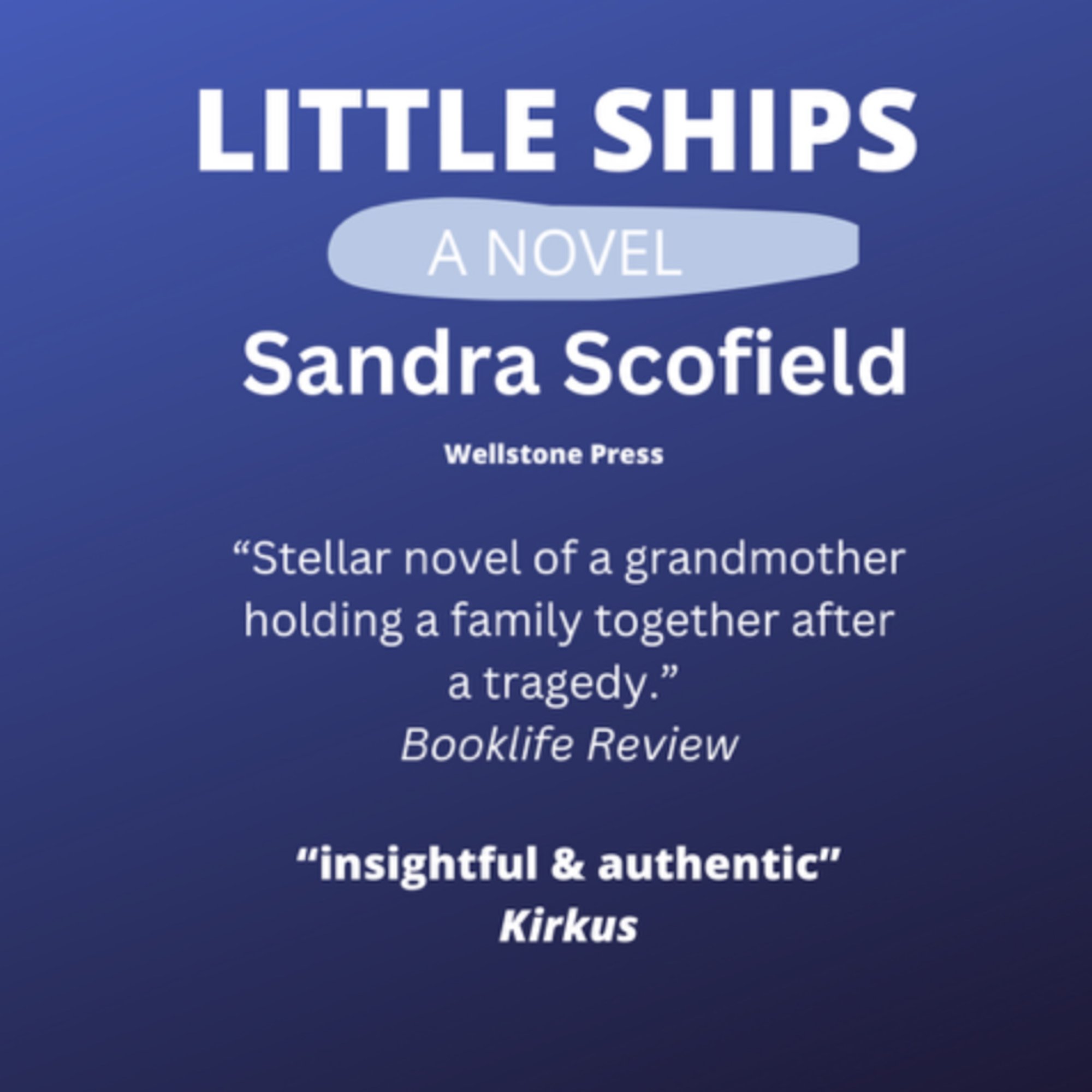Cover of Little Ships