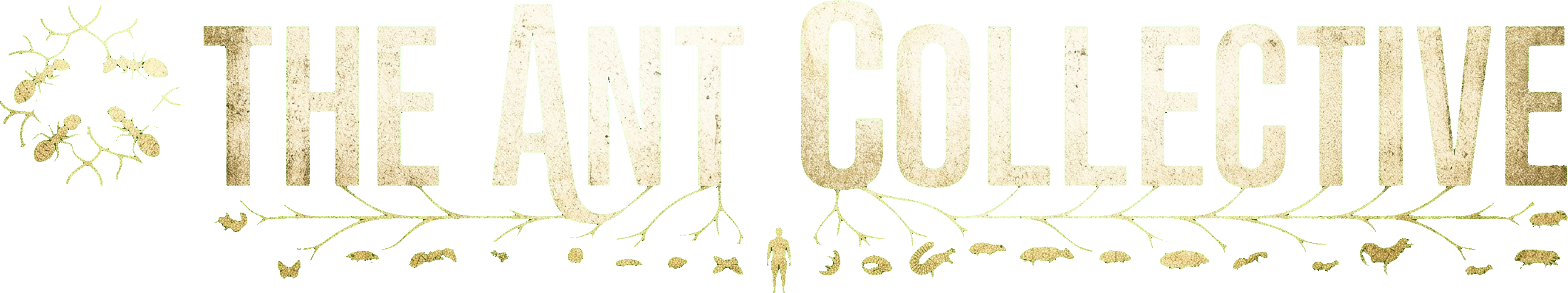 The Ant Collective logo