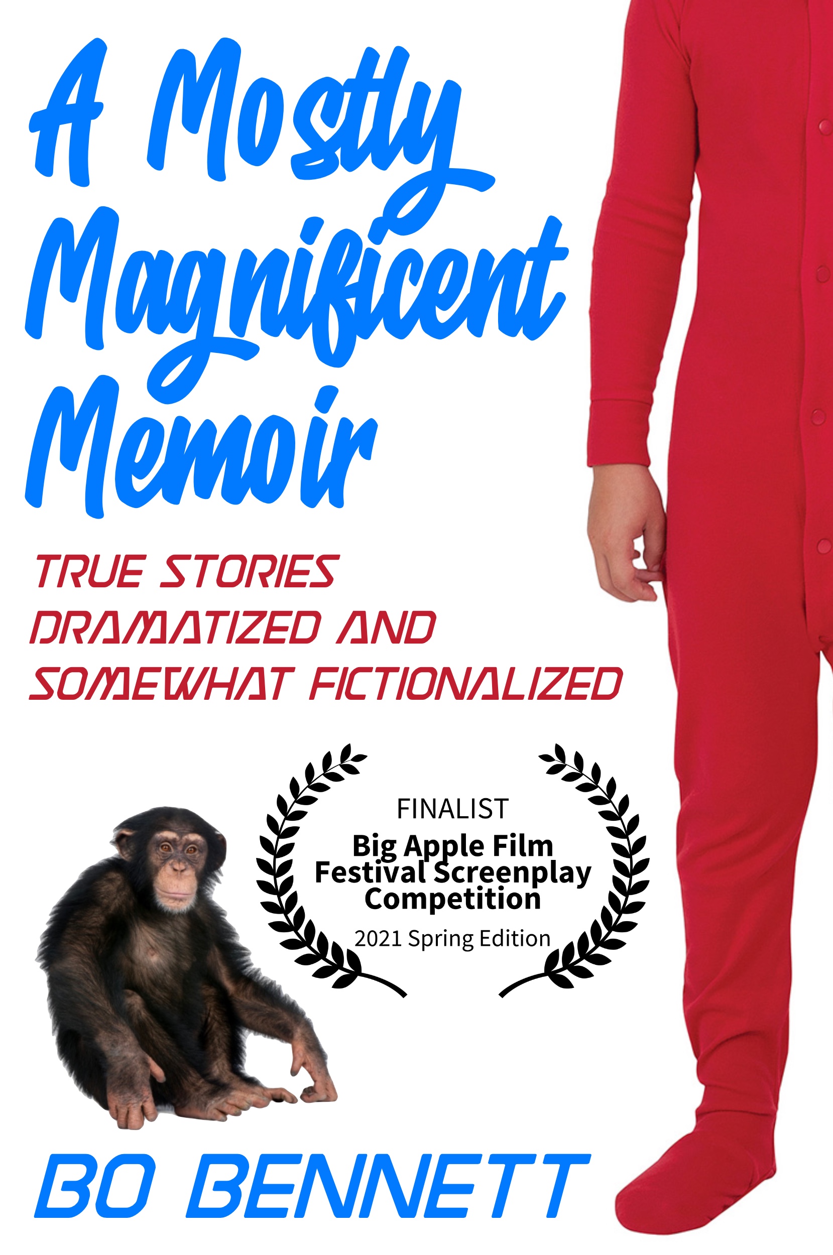 Cover for A Mostly Magnificent Memoir