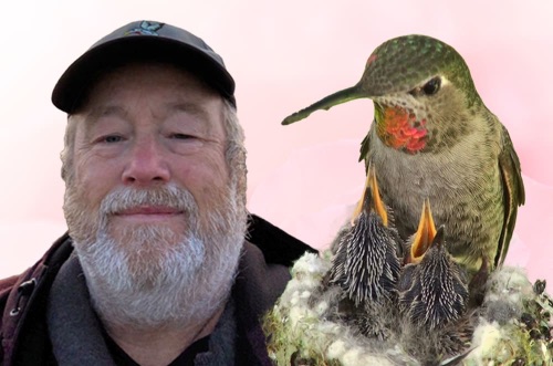 #281: Hummingbirds, Helicopters & an Underwater Guinness World Record – Eric Pittman cover image