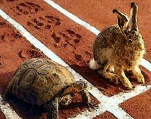 #065:Bo Bennett and Ryan Levesque - The DTM, the Tortoise, and the Hare cover image