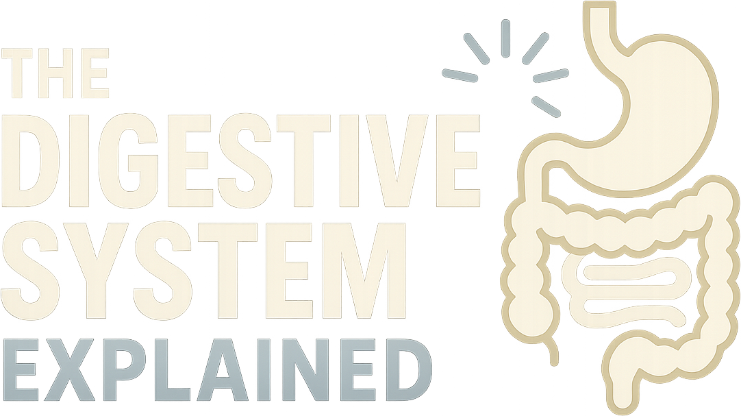 The Digestive System Explained logo