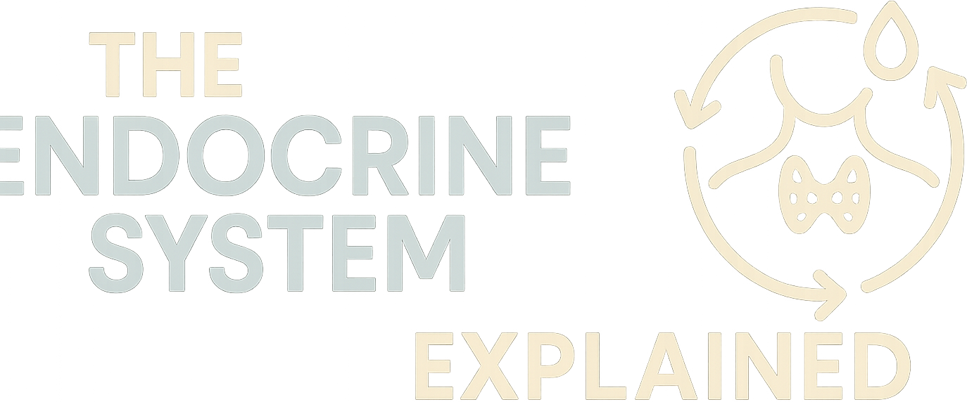 The Endocrine System Explained logo