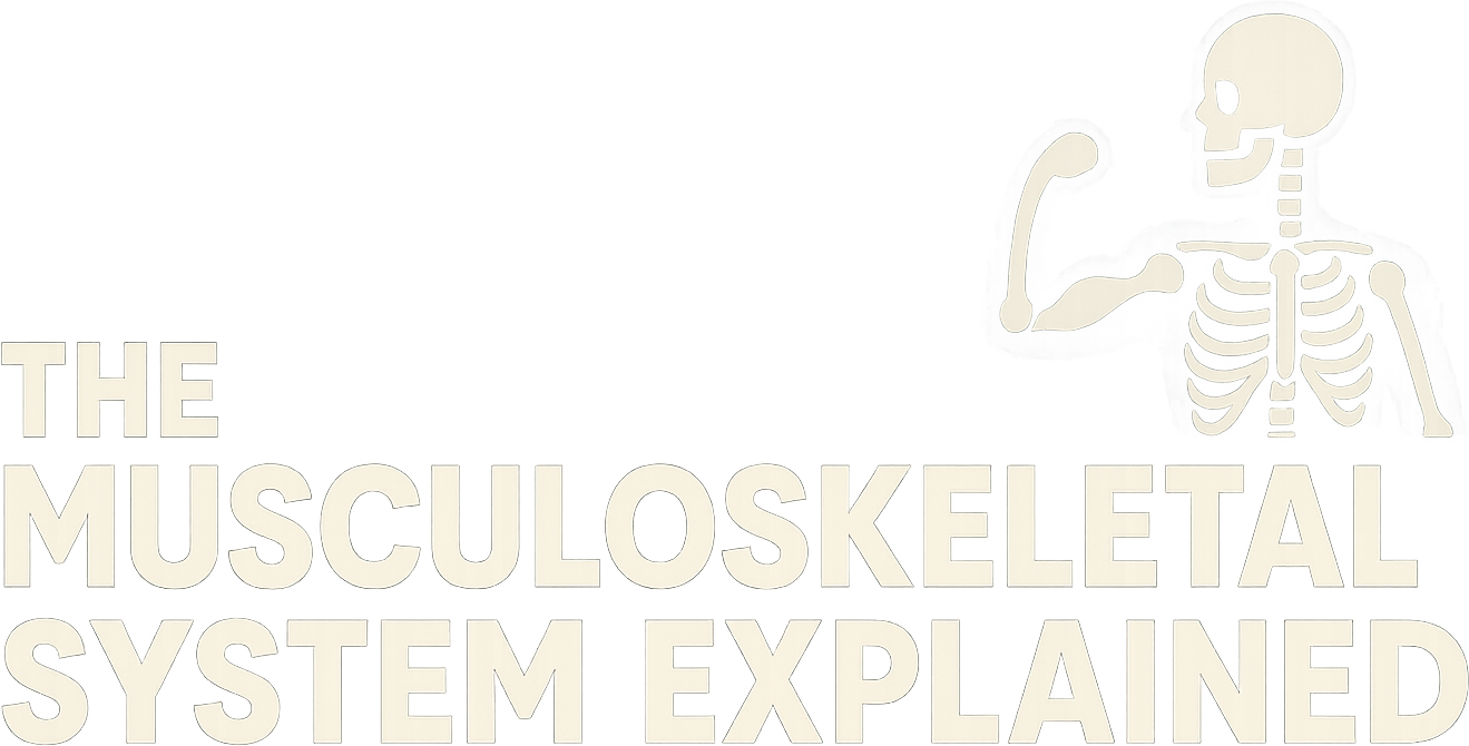 The Musculoskeletal System Explained logo