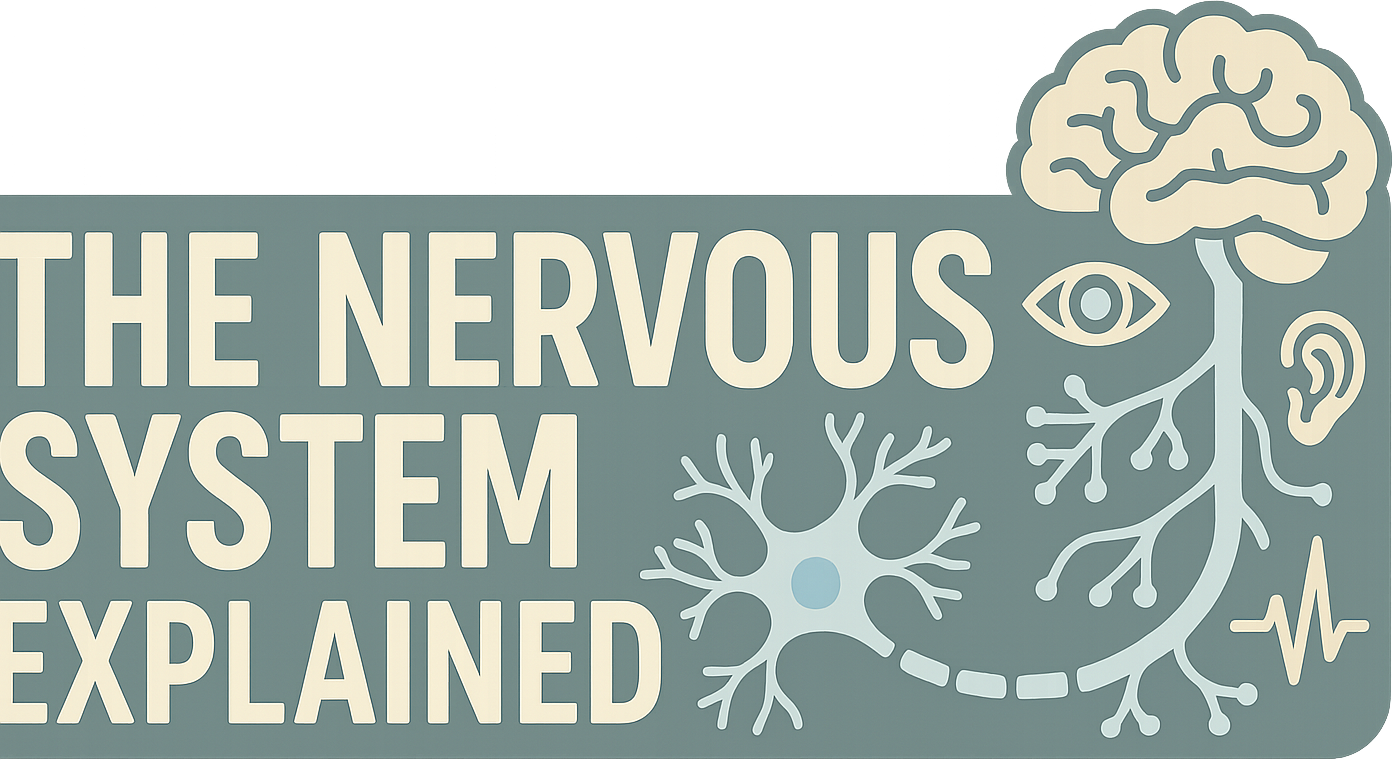 The Nervous System Explained logo